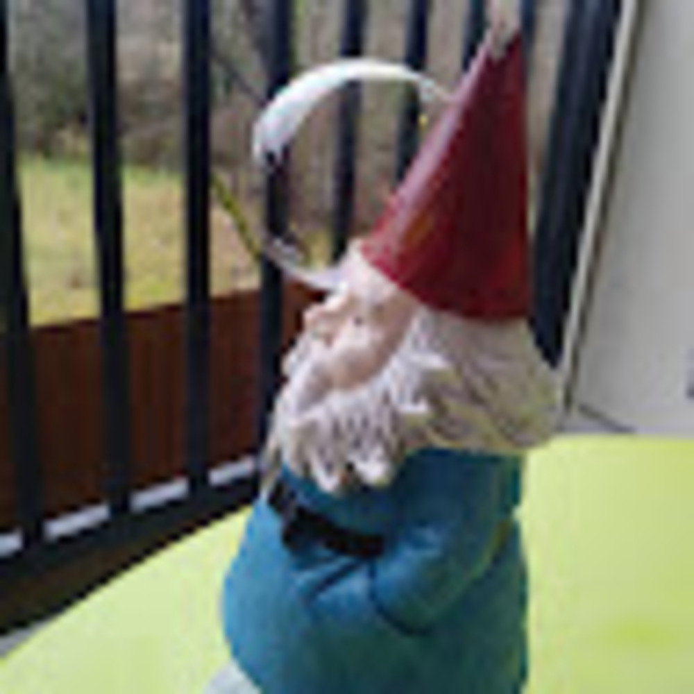Meet your Posher, Sandy